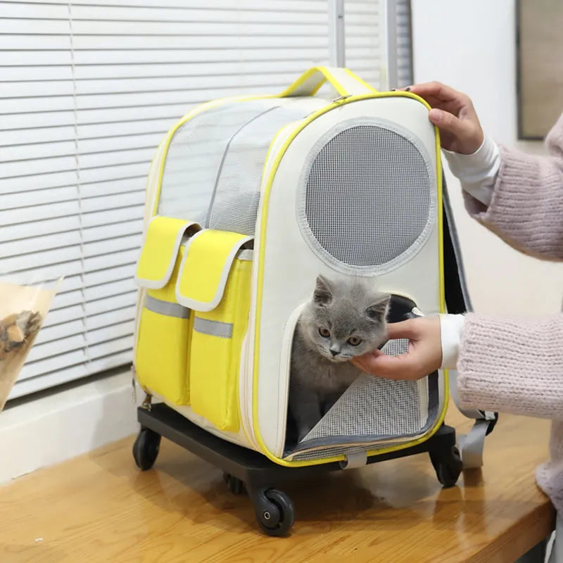 Canvas pet trolley bag with pull rod for pets up to 7.50kg in yellow, blue, or black