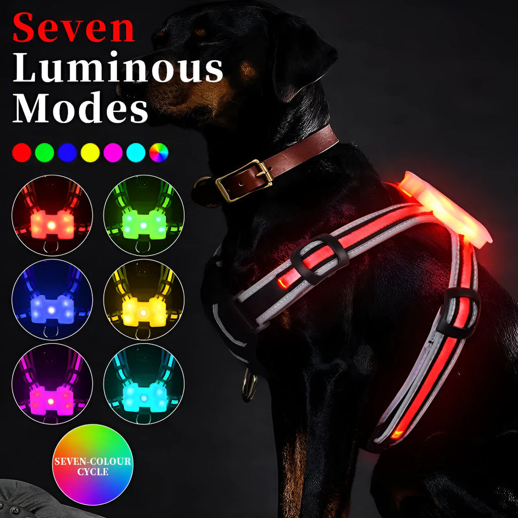 Luminous nylon dog lead with seven-colour LED lights and USB charging cable