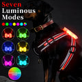 Luminous nylon dog lead with seven-colour LED lights and USB charging cable
