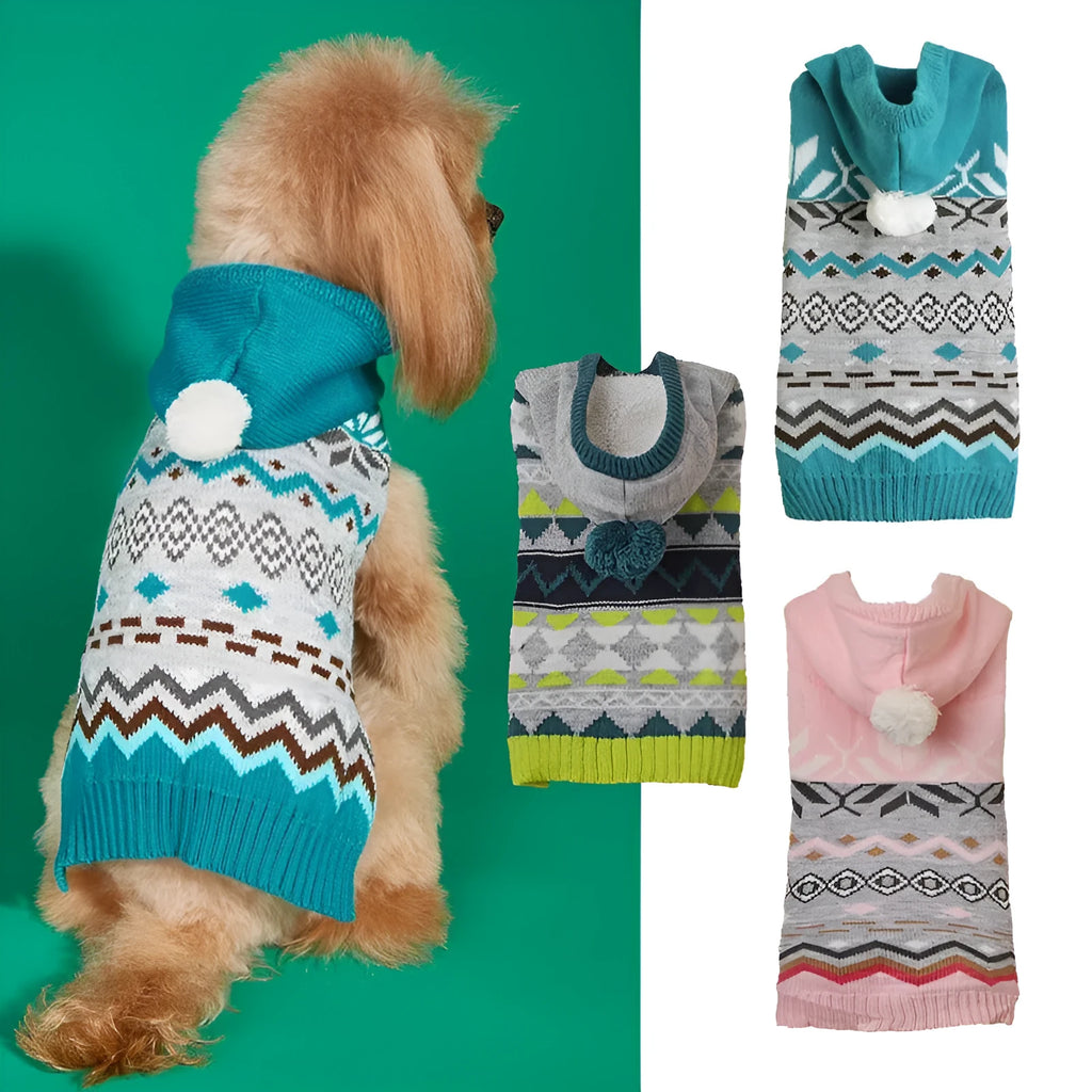 Green diamond pattern pet sweater on small dog showing knit texture and proper fit