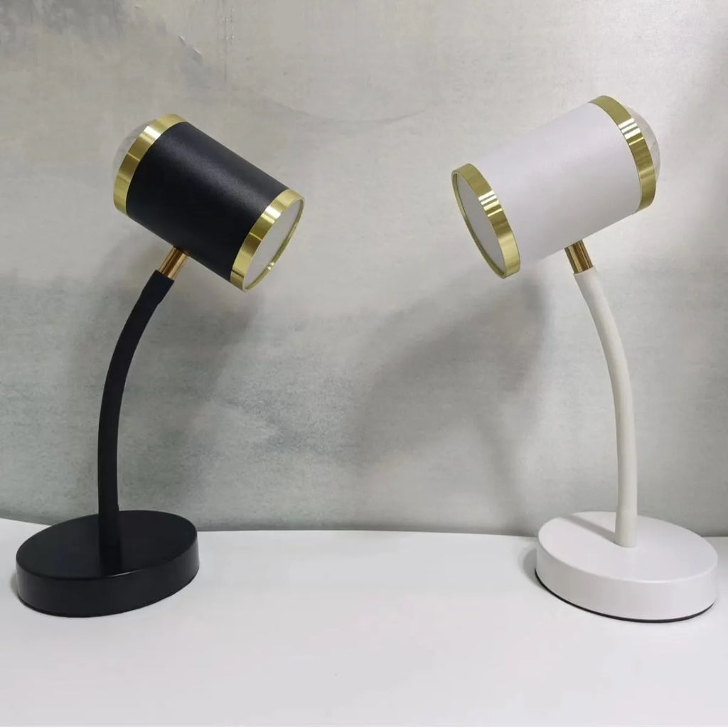 Black and white double-headed photography lamp with metal construction for live streaming