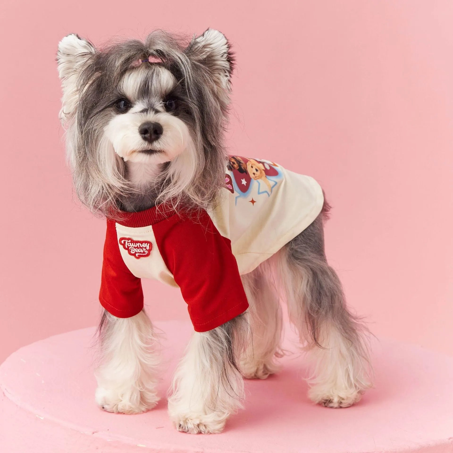 Cotton summer dog clothes with embroidered contrast colour design in red or pink options