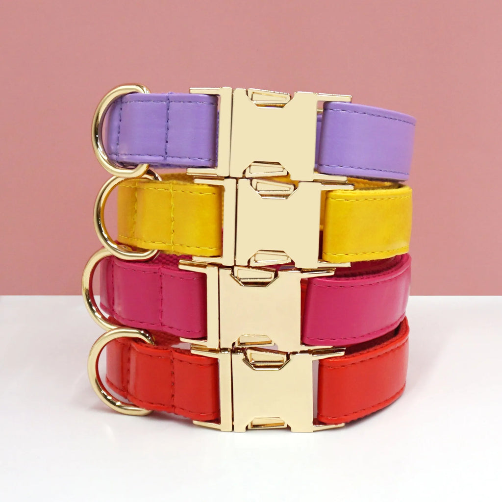 Leather dog collar with velvet texture section in colour block design, shown on a buckle.