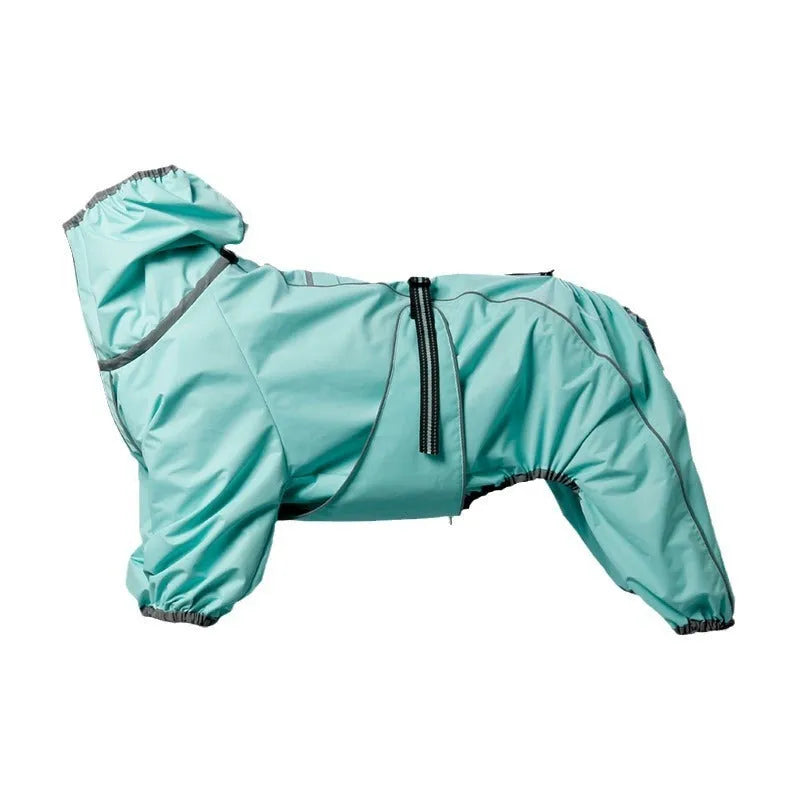 Dog wearing cotton-padded polyester jacket in sporty style available in four colours