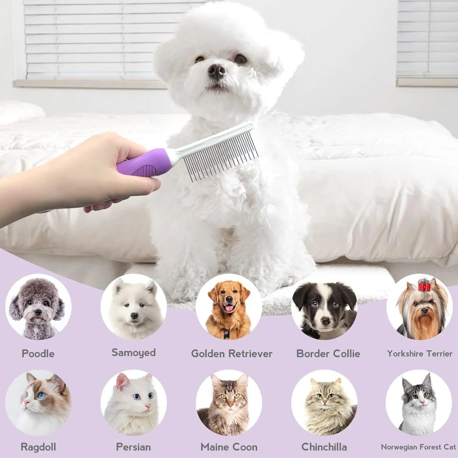 Purple detangling pet comb with stainless steel teeth for grooming dogs and cats, showing ergonomic handle