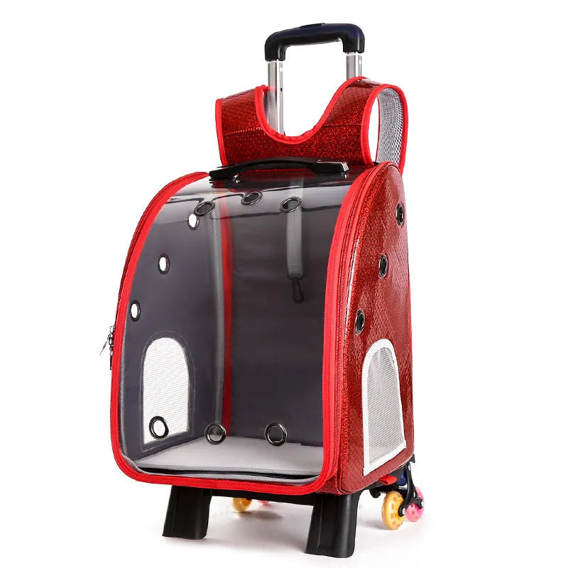 Transparent pet trolley with acrylic cover showing 12 Jin capacity for small dogs and cats with folding shoulder design