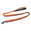 Green elastic dog training leash with 360° rotating metal clip for medium and large breed dogs
