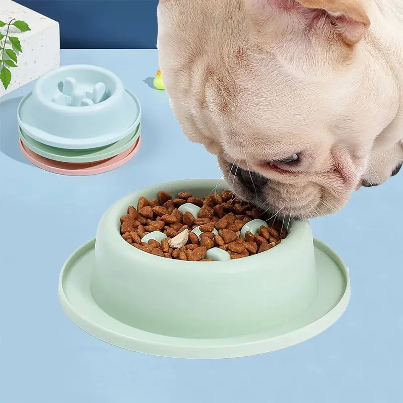 PP slow food bowl for pets, 17cm diameter, 4.5cm deep, non-slip base, blue green pink options