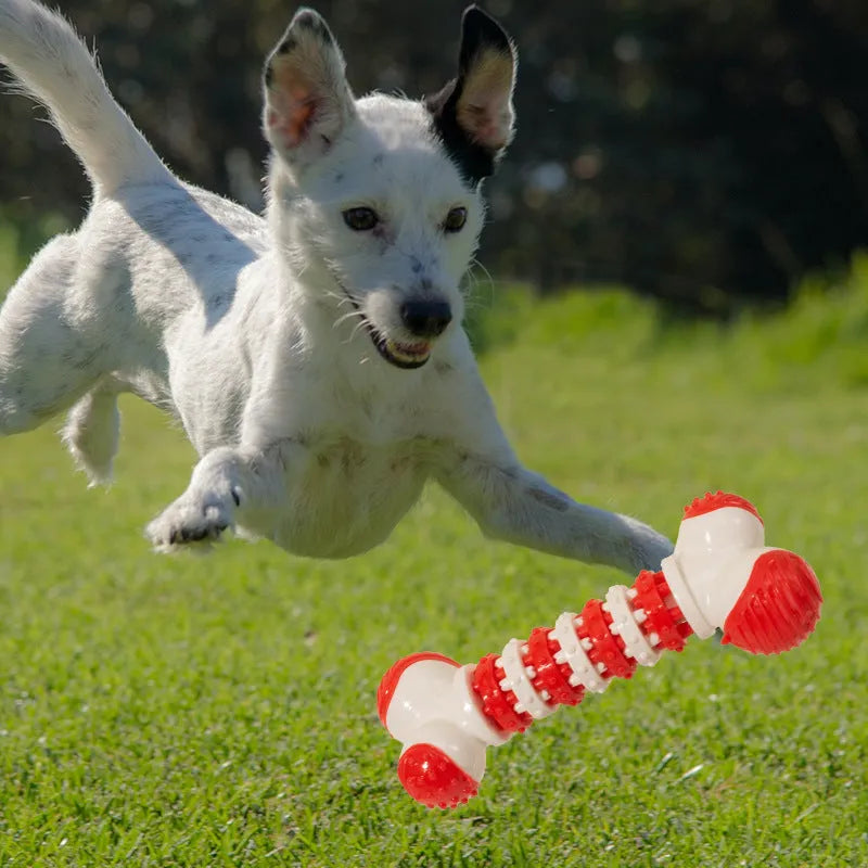 Bone-shaped interactive dog toy in blue, orange, or red for small breed puppies with chewable ends and treat holder