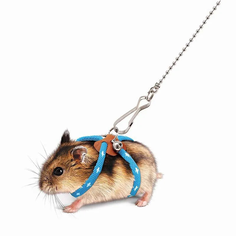 Hamster hand holding rope anti-bite in light blue or pink with one traction rope included