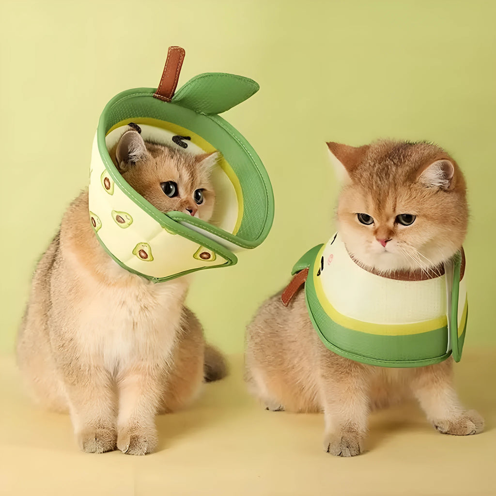 Soft adjustable cat cone recovery collar with strap for post-surgery protection