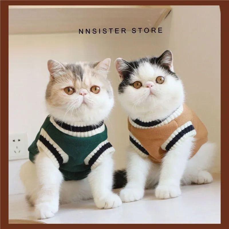 Silver gradual layer college style knitted cat winter sweater in blue duck colour