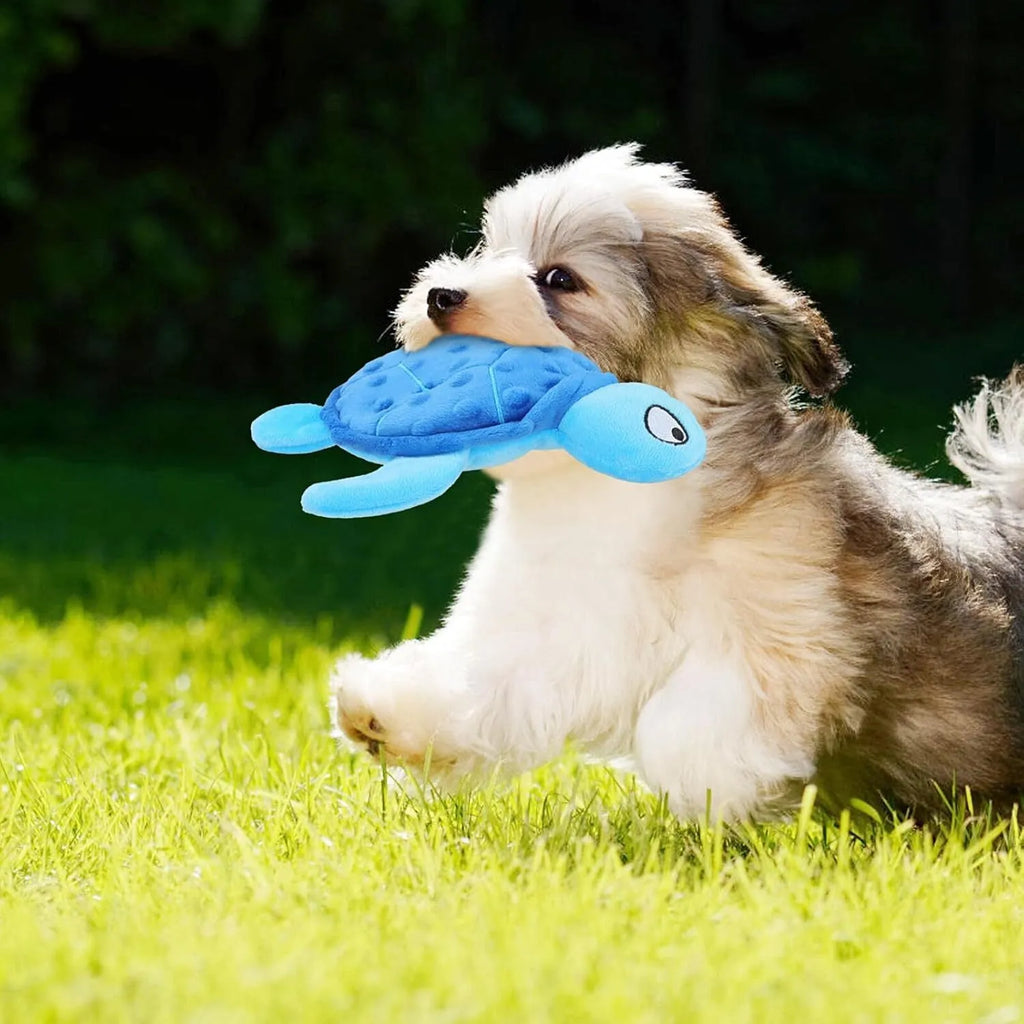 Blue squeaky sea turtle plush dog toy with composite mesh material, size 25x20x5cm