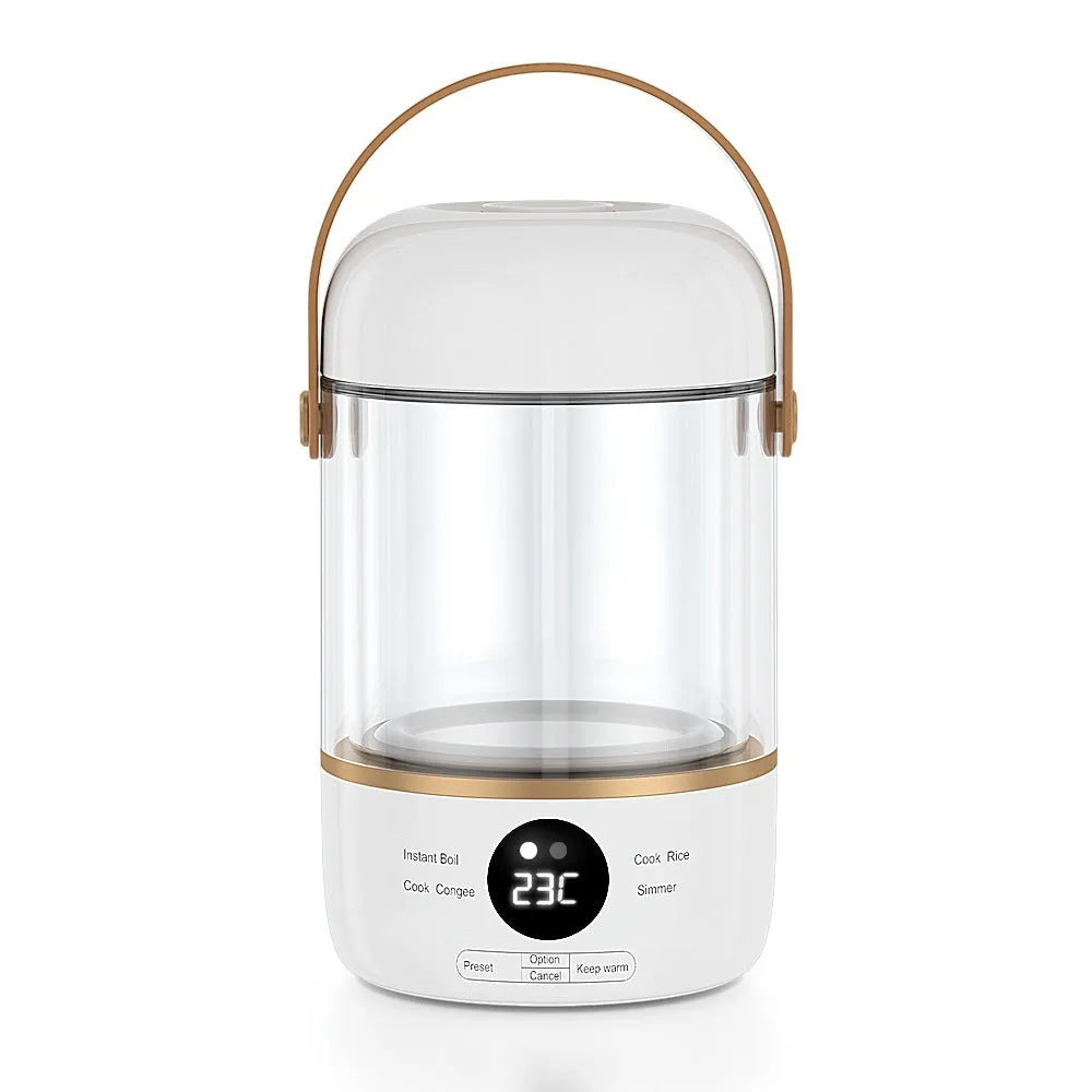 110V-240V electric stew cooker with transparent glass liner and fibre glass body, showing under 1-litre capacity
