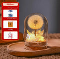 Glass dandelion night light ornament with gradient colour finish on wooden table