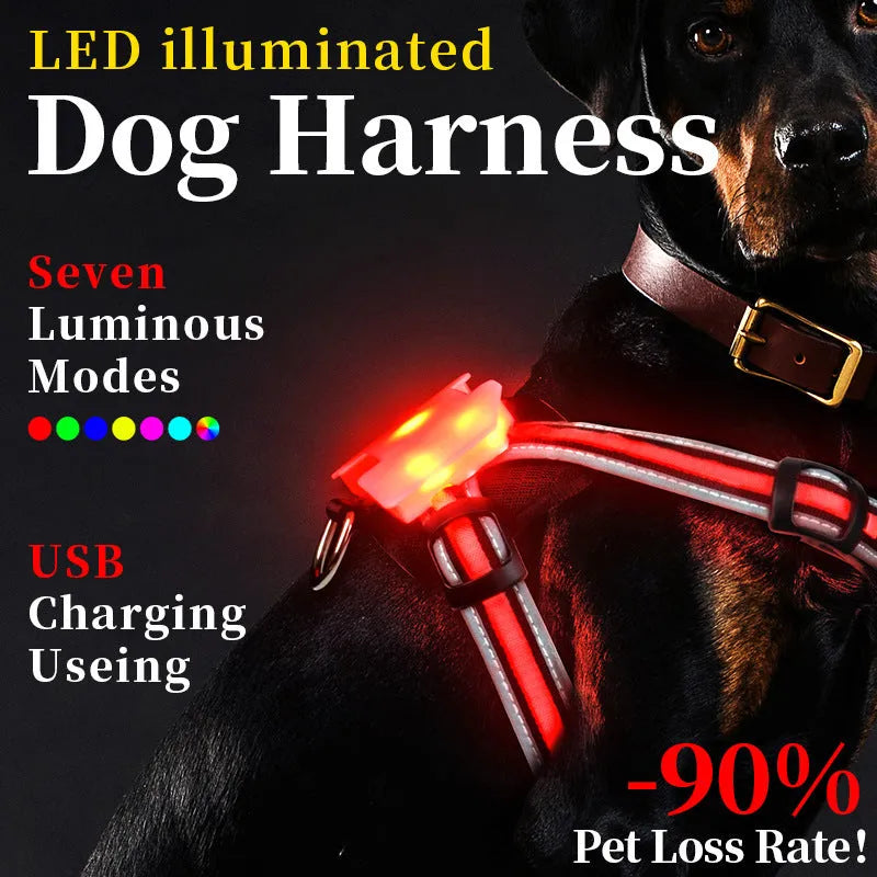 Luminous nylon dog lead with seven-colour LED lights and USB charging cable