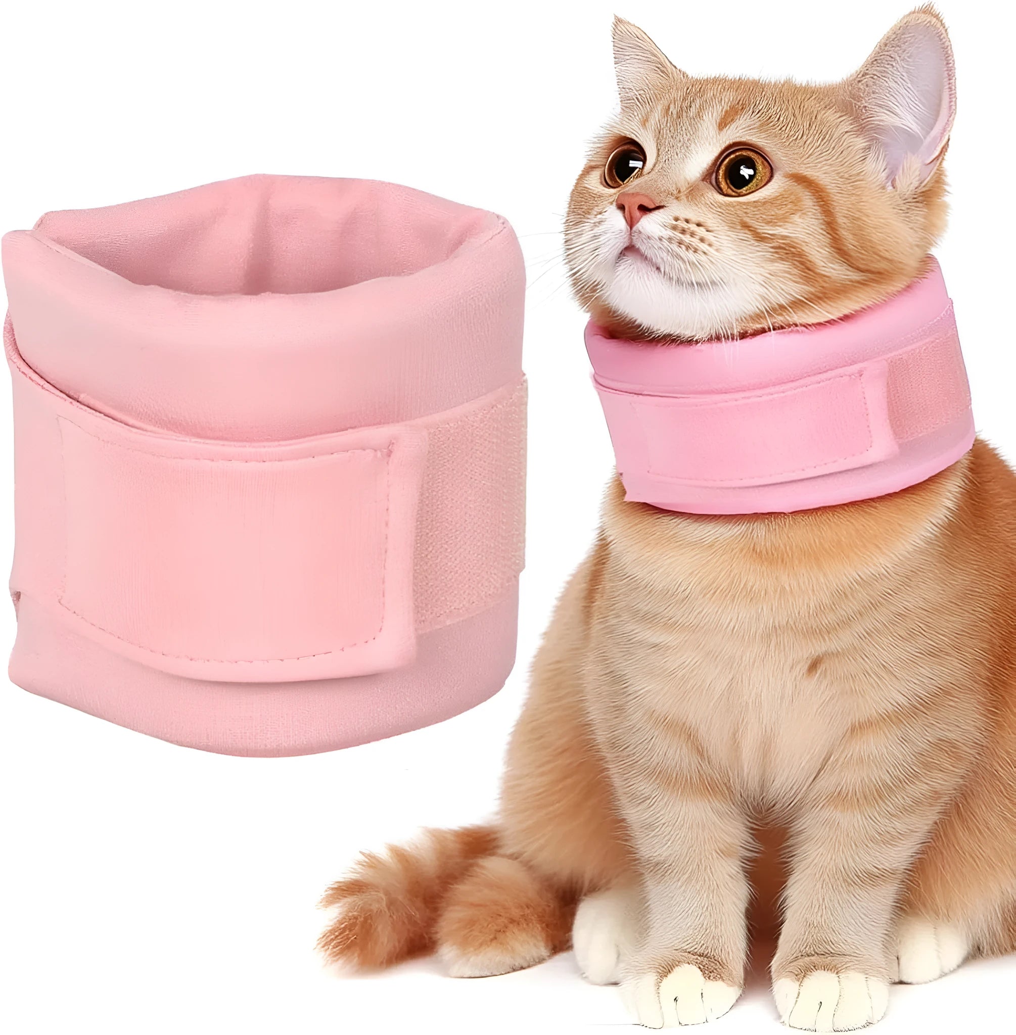 Soft grey cat cone collar for post-surgery recovery showing neck brace design