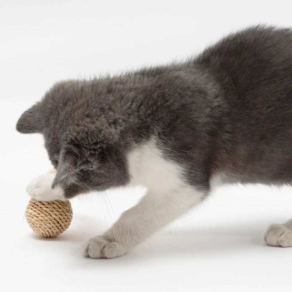 Two cat toys: faux feather ball measuring 4x9cm and hollow rattan ball with 3.5cm diameter