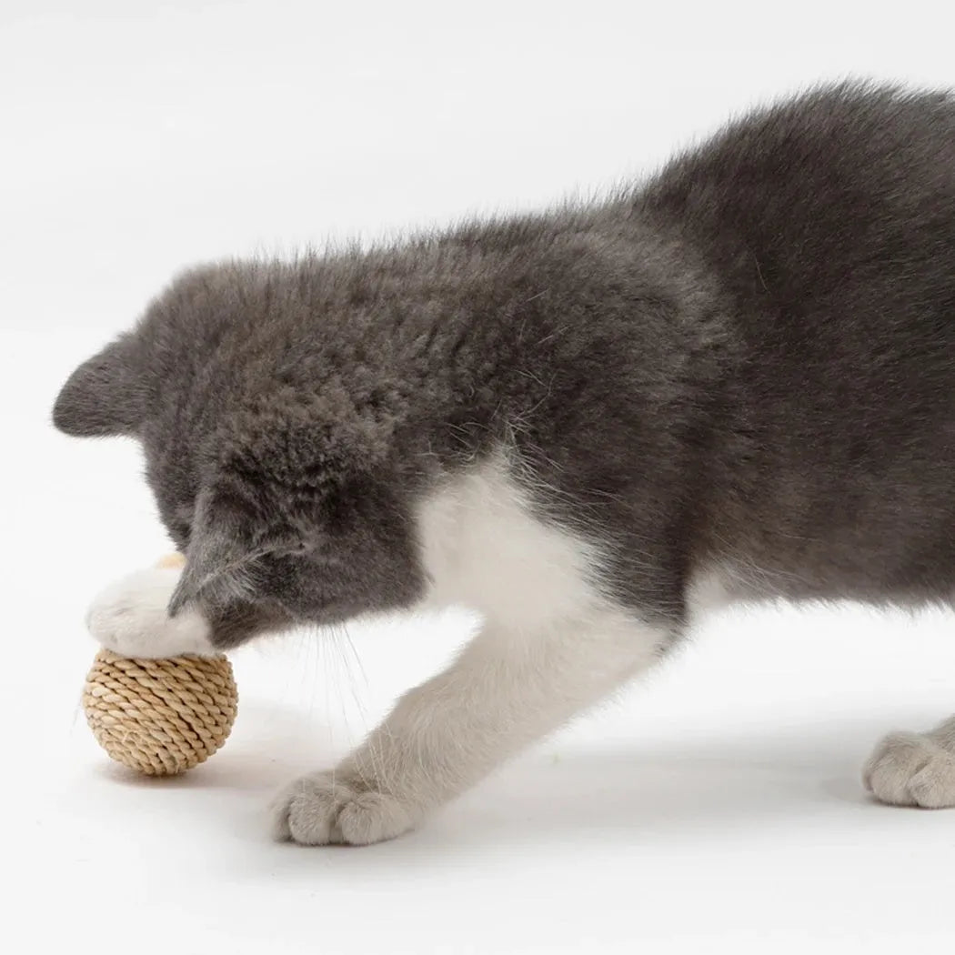 Two cat toys: faux feather ball measuring 4x9cm and hollow rattan ball with 3.5cm diameter