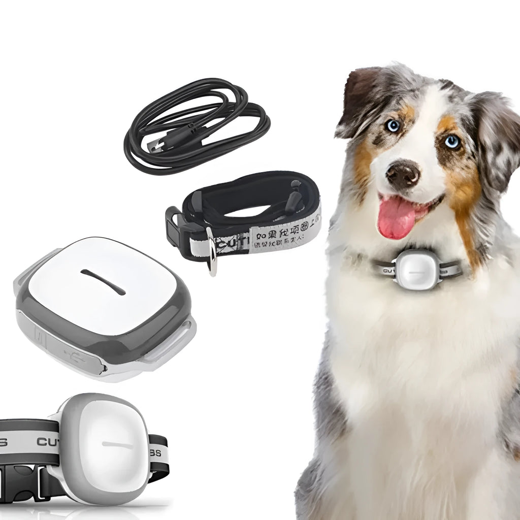 Pet GPS tracker collar locator with IP67 waterproof ABS body, 66x52x44mm, USB charging, blue grey orange