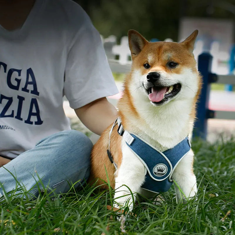 Adjustable mesh dog harness with reflective strips and metal back ring in multiple colour options