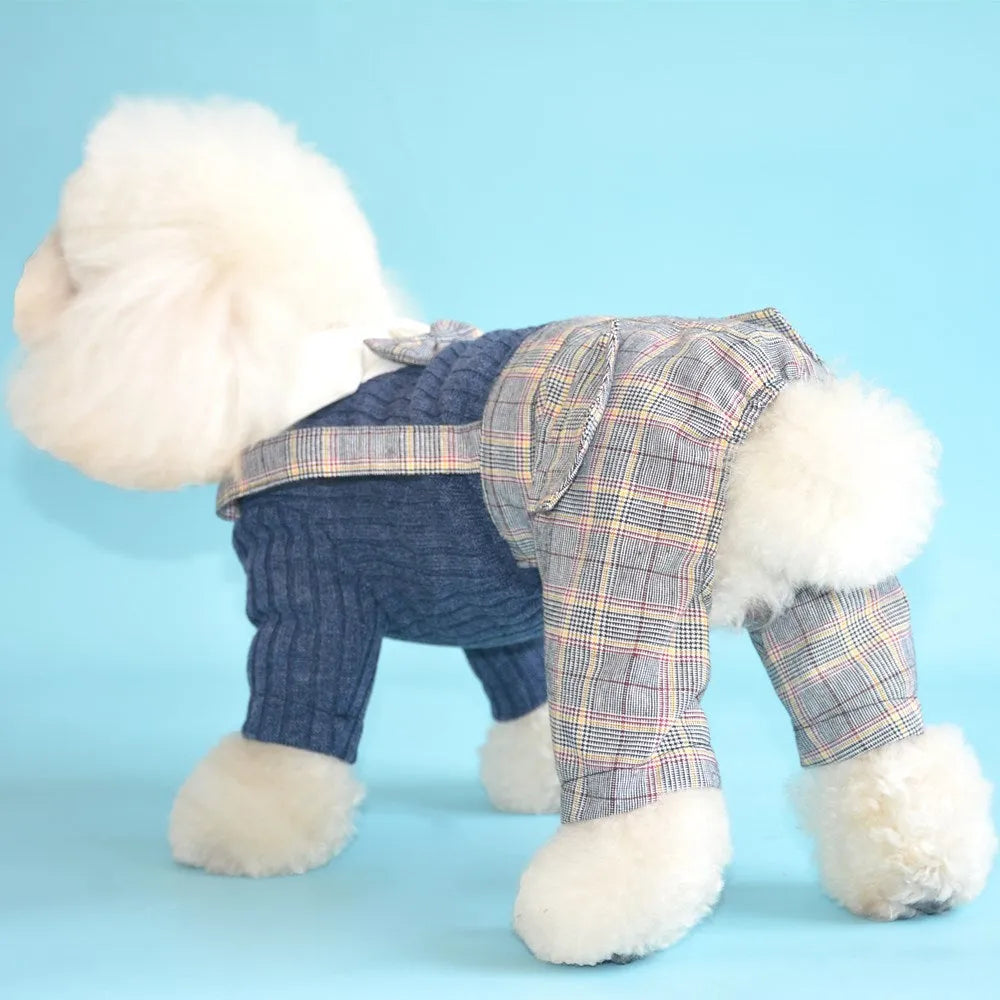 Orange cotton dog suit shirt on small dog with collar visible