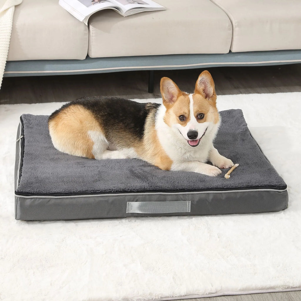 Removable washable pet mat for dogs with sponge core and Shu cotton velvet cover in brown colour