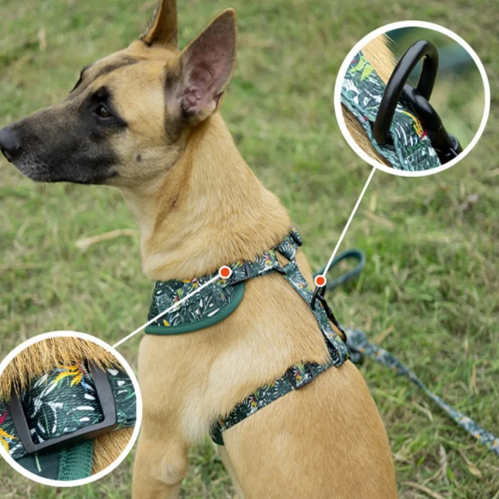 Adjustable vest pet harness set with six pieces including waste bag and decorative bow