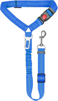 Nylon dog tow rope with metal buckle fastener in assorted colours on a white background.