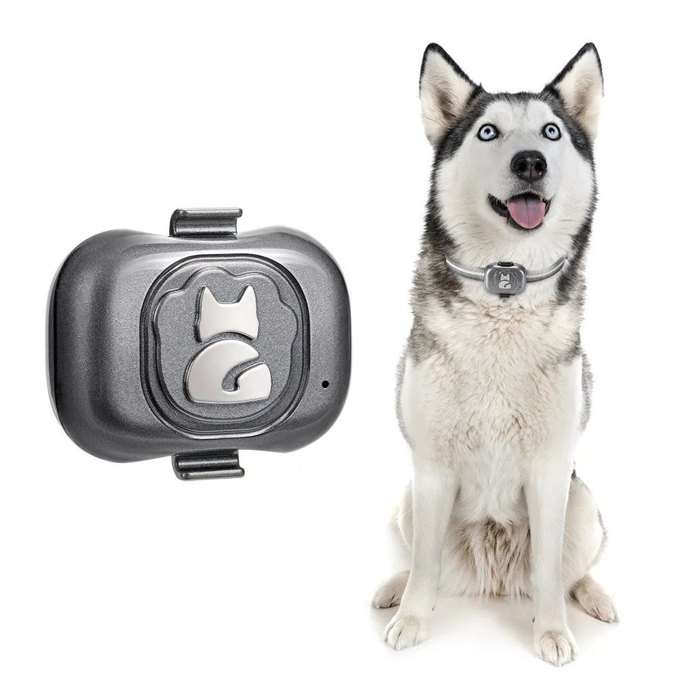 Black Pet GF-07 GPS locator device with hanging rope attachment for pet collars