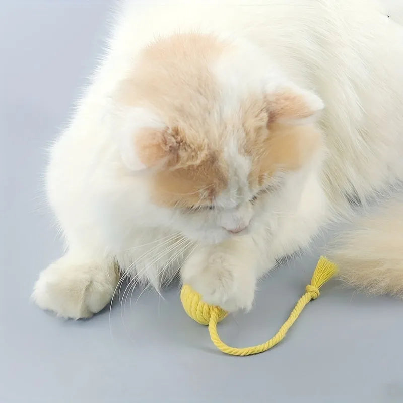 Colourful cat toy ball with attached rope and internal bell mechanism in green, pink, purple, or yellow options