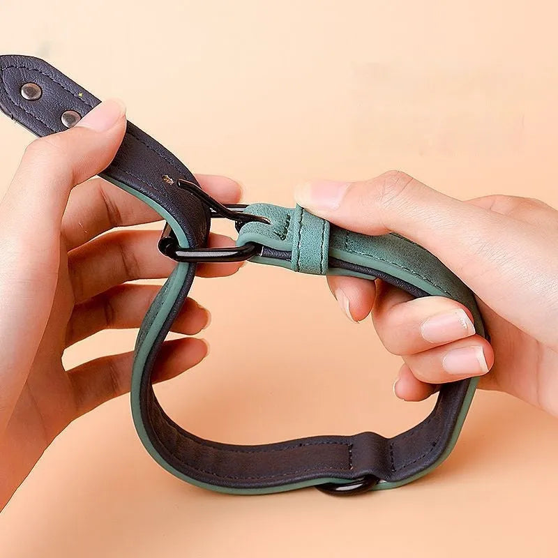 Adjustable dog collar with double-layer thickening in purple colour showing buckle and material texture
