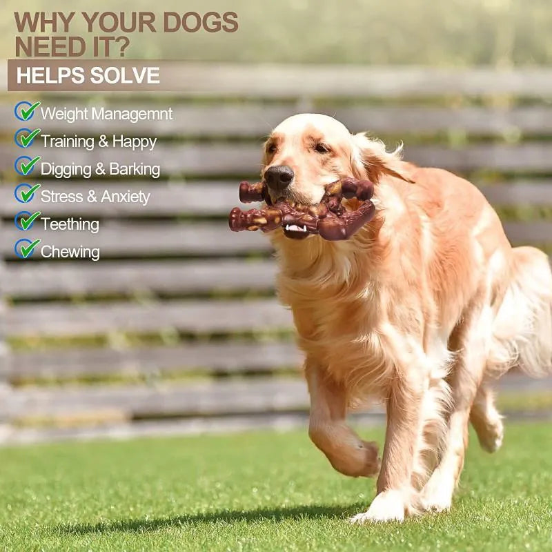 Scarlet red bone-shaped nylon dog chew toy with beef flavour for molar nibbling.
