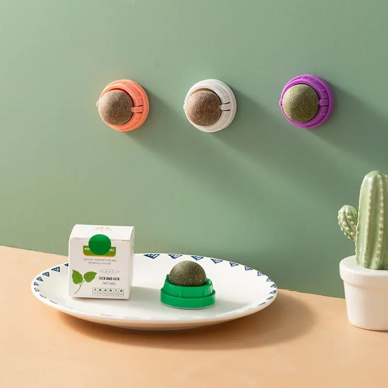 Plastic catnip ball toy in various colours for dental cleaning and bite-resistant play