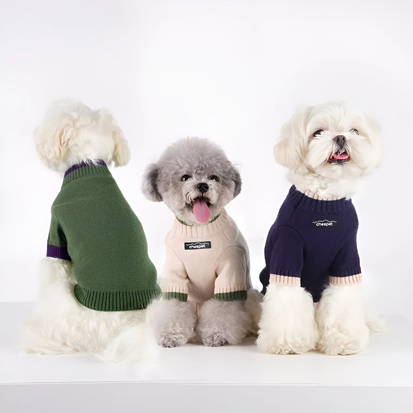 Contrast colour two-leg wool pet sweater for a small dog in Crown Blue.