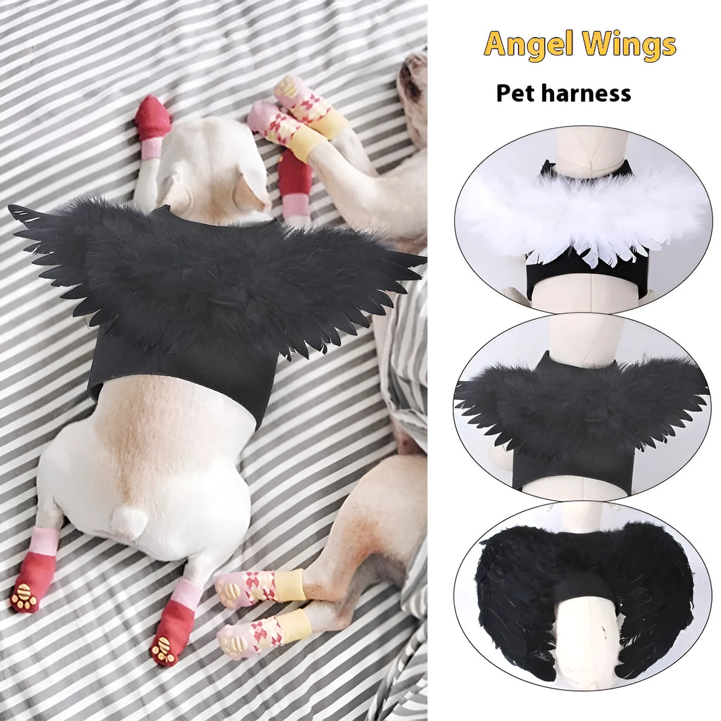 Black and white angel wings costume for dogs on chest and back, with adjustable straps.