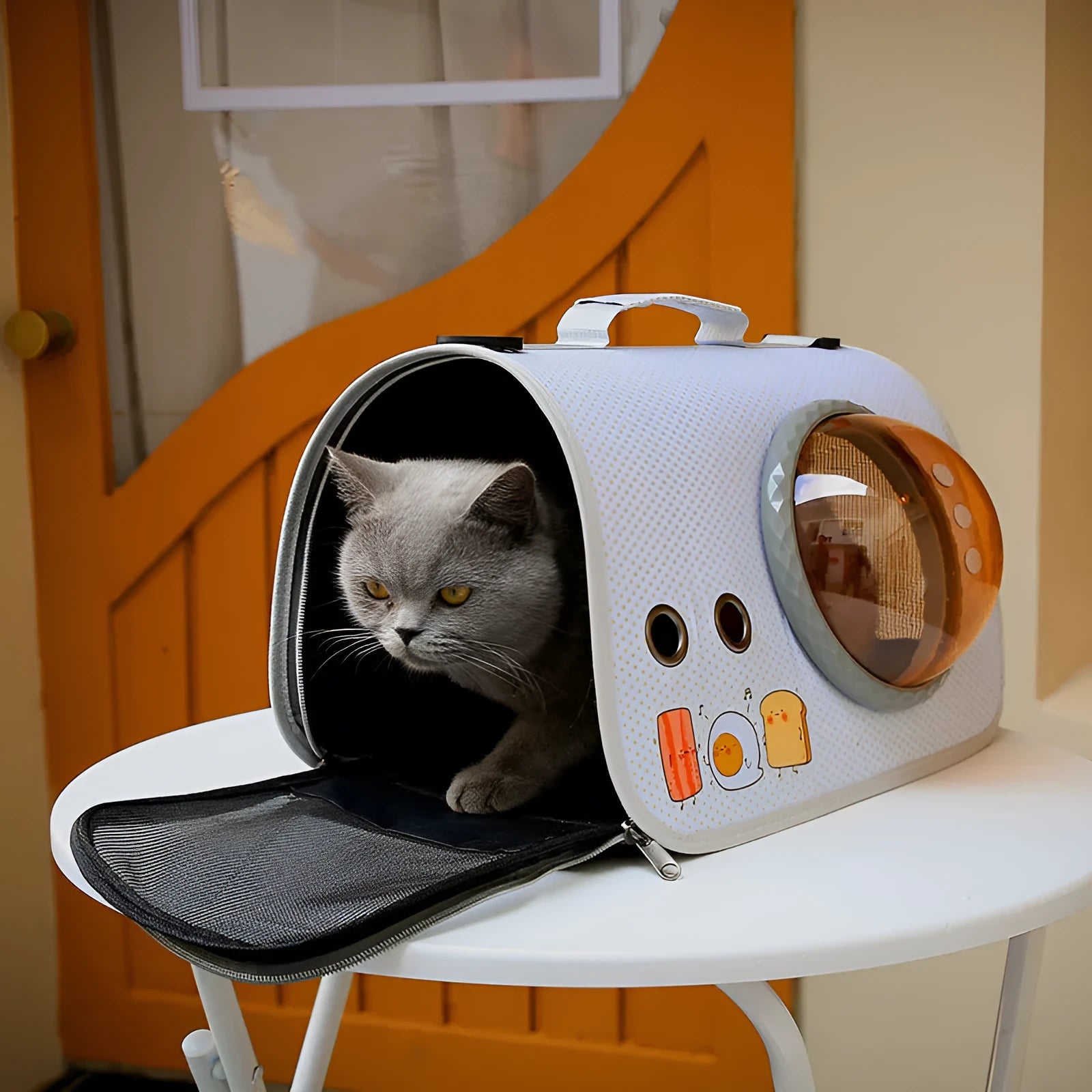 Transparent portable cat carry bag with cartoon pattern, 12kg capacity nylon pet carrier