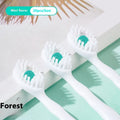 Box of disposable bead toothbrushes in mint, peach, plum green tea, and mixed flavours.