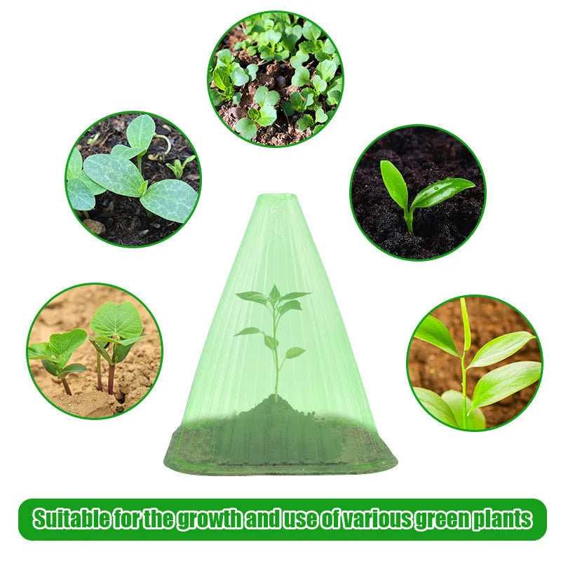 Reusable square plastic plant cover with ground stake for seedlings, shown in green or white bell jar style