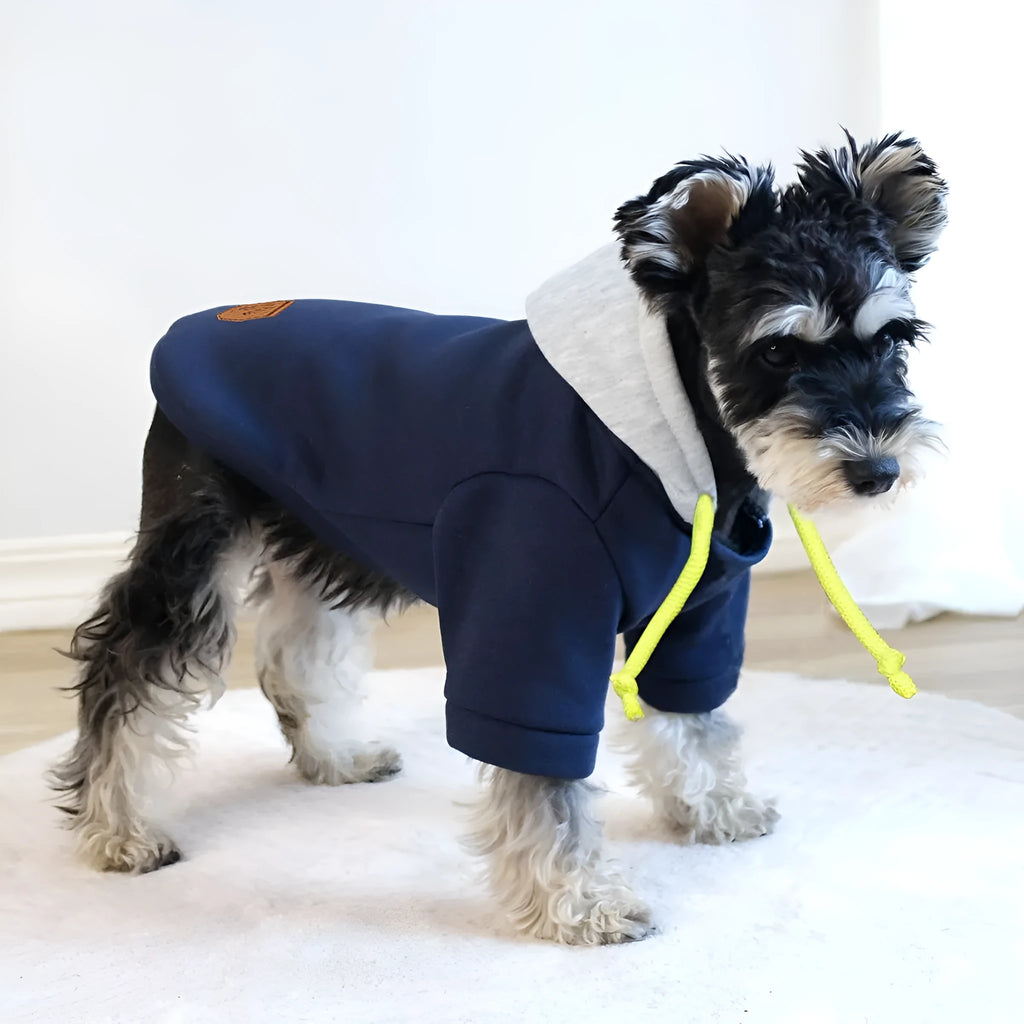 British-style pet hoodie pullover in dark red with contrast colour trim for dogs and cats