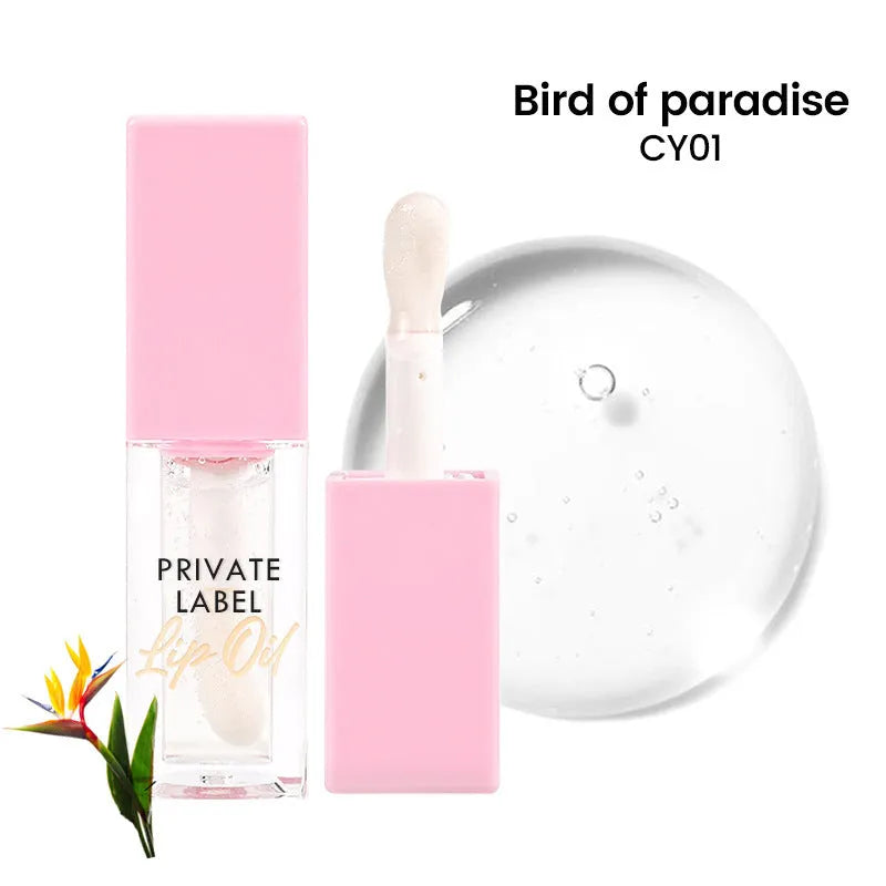 Women's Simple Natural Transparent Lip Gloss in 6ML tube with six fruity shade options