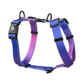 Gradient colour polyester dog chest strap harness in four colourful designs