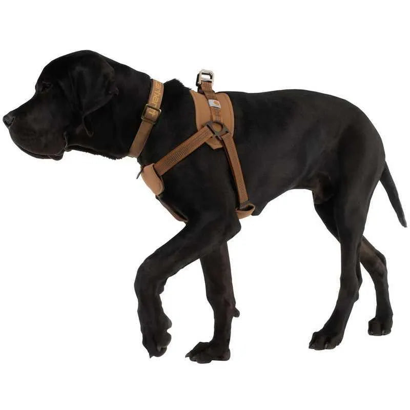 Dog training chest strap with reflective hand holding rope, 1.8 metre lead for medium to extra-large breeds