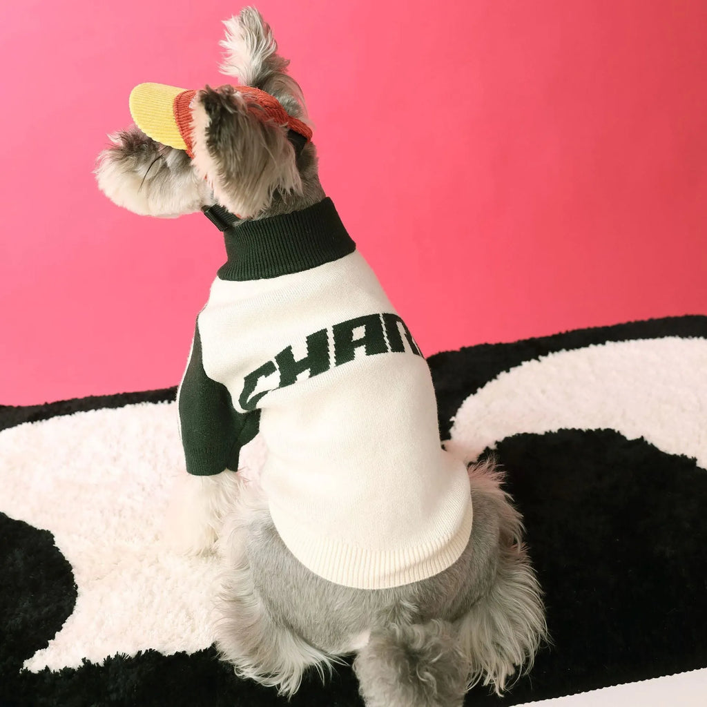 Red wool sports cardigan for puppy dog on size mannequin showing casual knit style