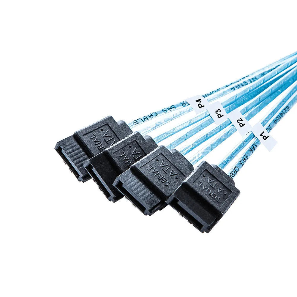Straight head SAS server hard disk cable with coaxial interfaces in 0.5m and 1m length options