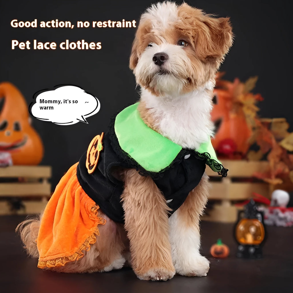 Halloween pumpkin skirt and sweater pet costumes for dogs and cats in crystal velvet material