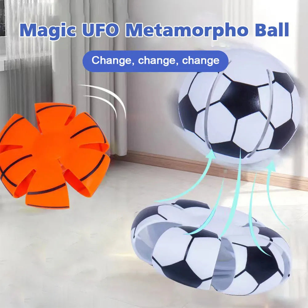Interactive bouncy ball and flying disc dog toy with 9cm diameter in multiple colours
