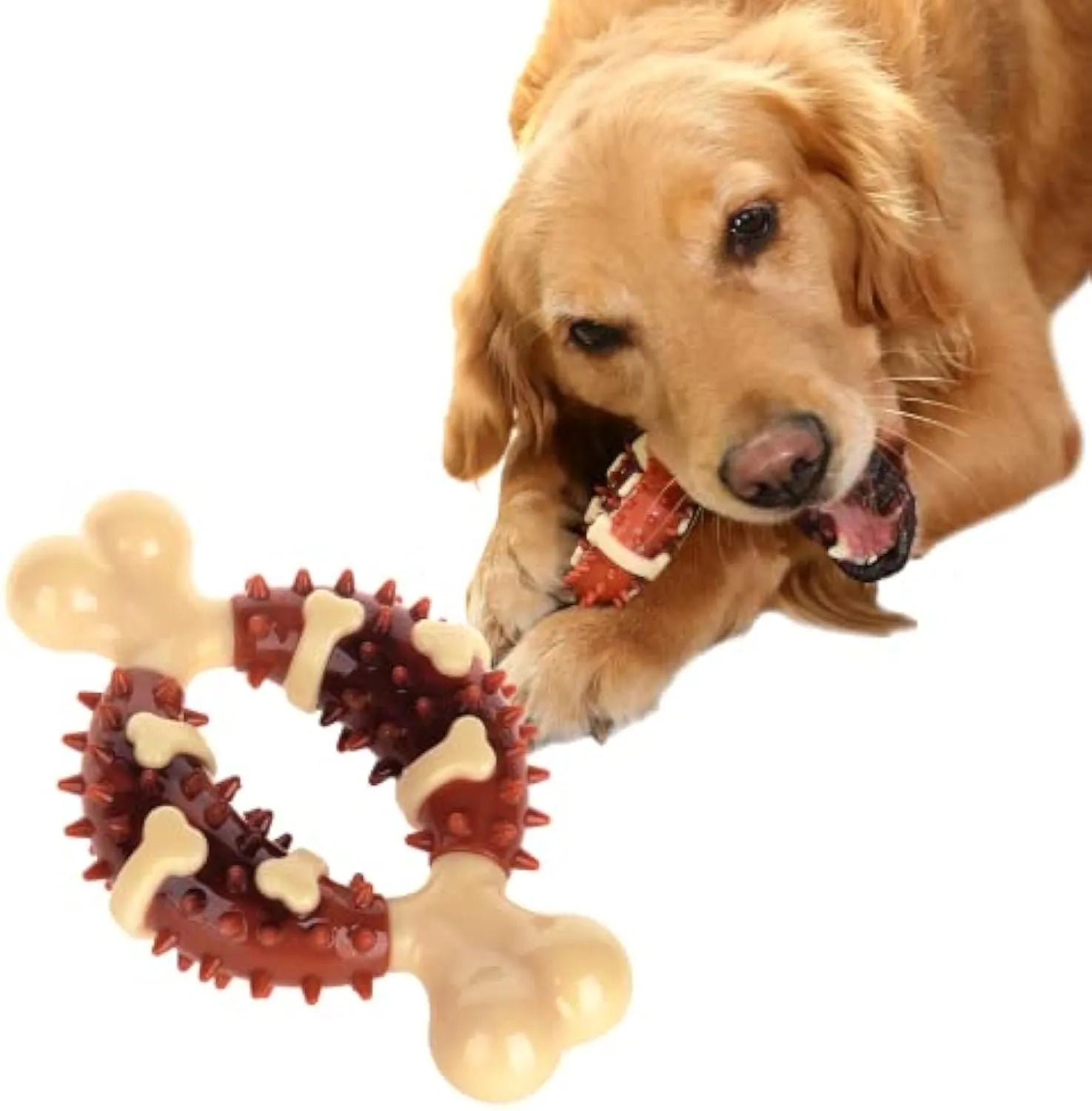 Bone-shaped natural rubber dog toy for teeth grinding in two sizes, 15cm and 12.5cm, on a white background