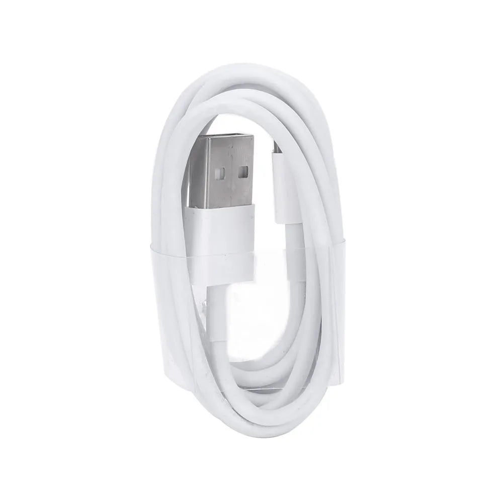 5V2A USB charger with cable for iPhone and iPad models showing 220V input and 5V output specifications