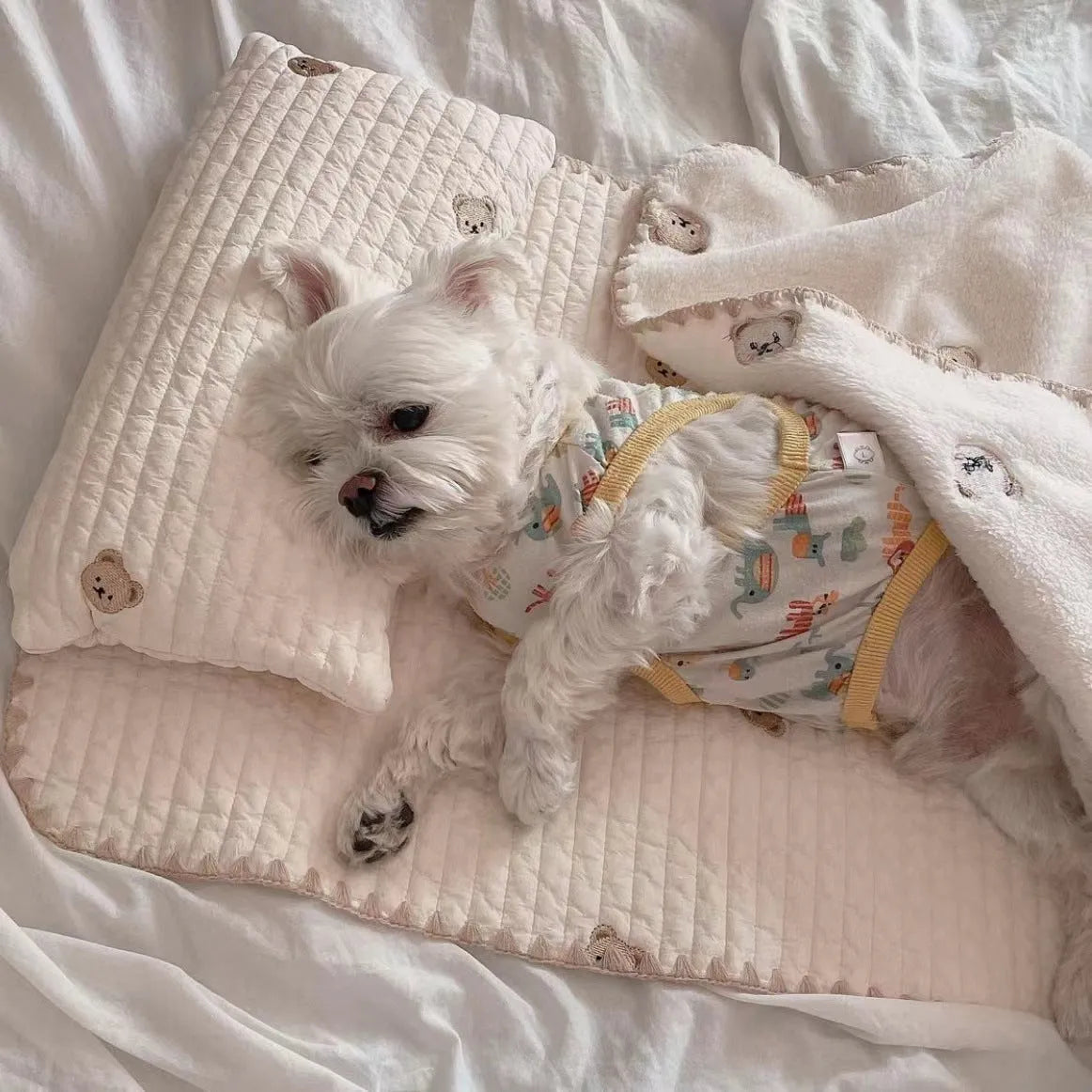 Simple bear pattern dog bed set with square mattress, pillow, and matching comforter